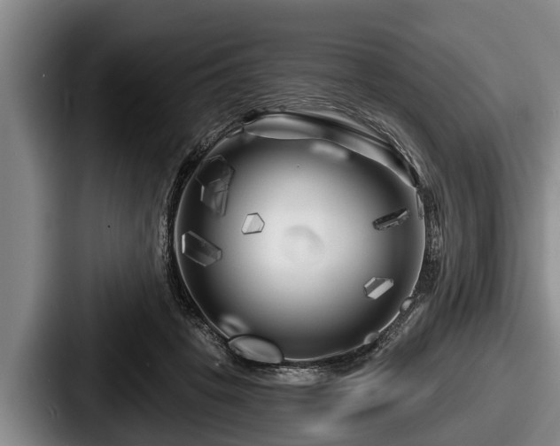 X0000087680457200705111304