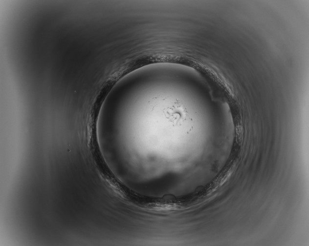 X0000087680458200705111304