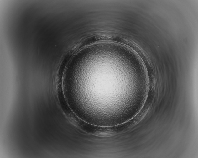 X0000087680459200705111304