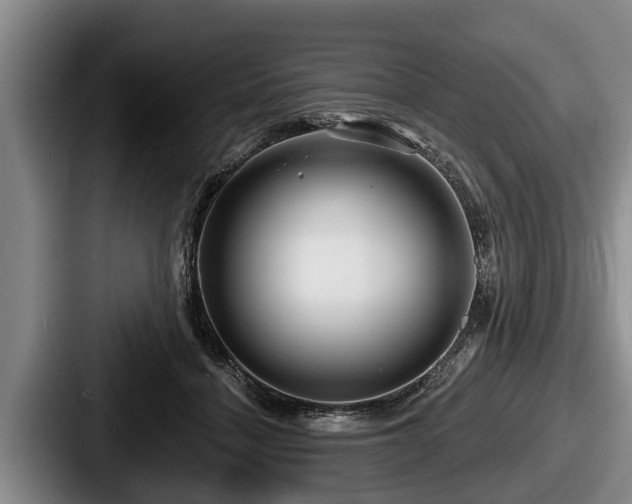 X0000087680460200705111304