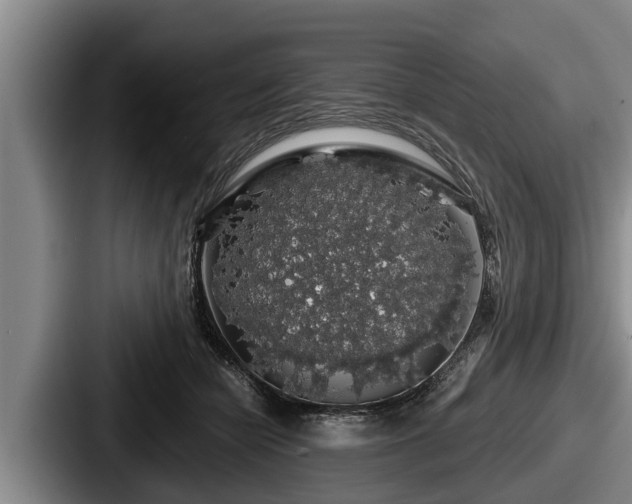 X0000087680462200705111304