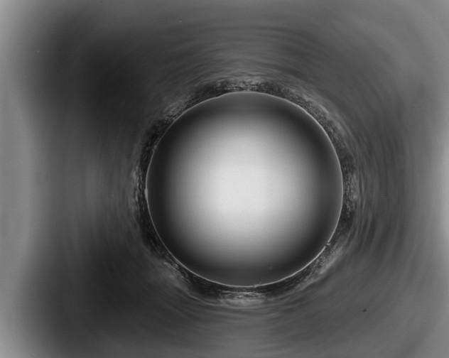 X0000087680463200705111304