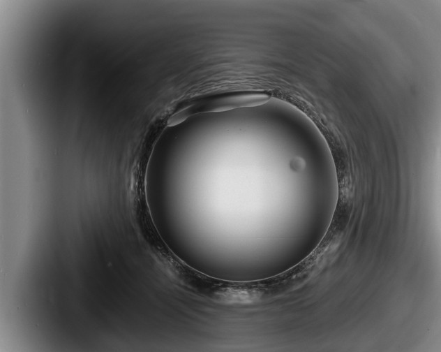 X0000087680464200705111304