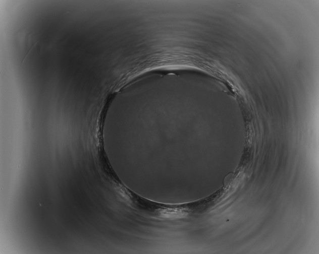 X0000087680465200705111304