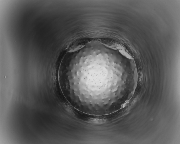 X0000087680466200705111304