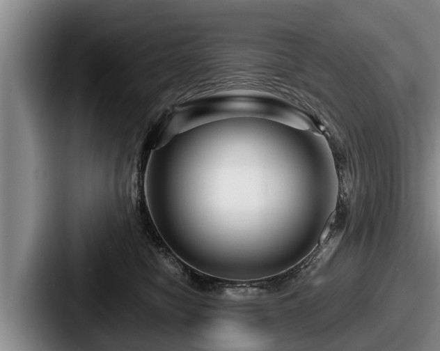 X0000087680470200705111304