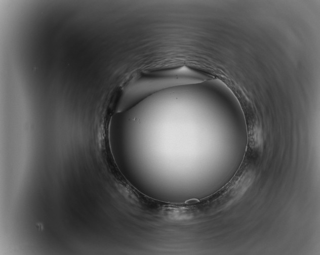 X0000087680472200705111304