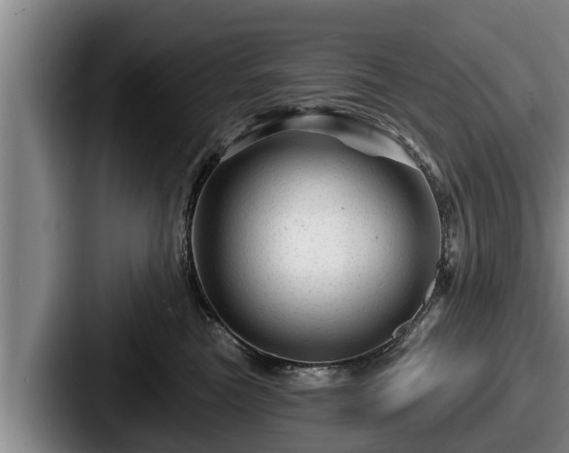 X0000087680473200705111304