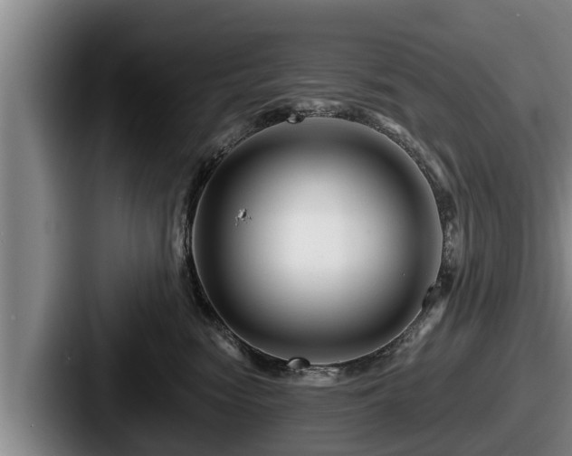 X0000087680474200705111304