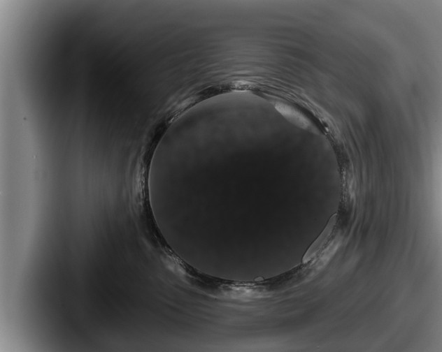 X0000087680475200705111304