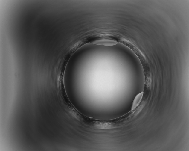 X0000087680476200705111304