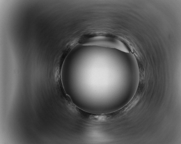 X0000087680478200705111304