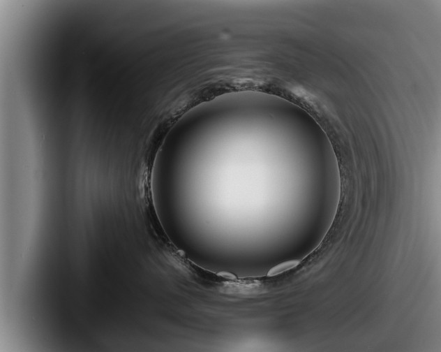 X0000087680480200705111304