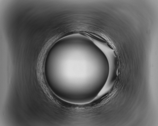 X0000087680481200705111303