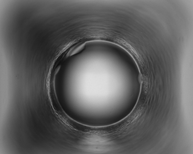 X0000087680482200705111303