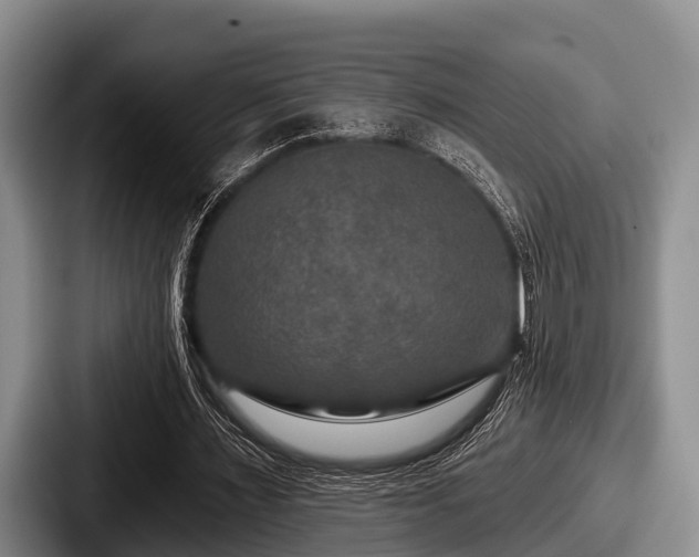 X0000087680483200705111303