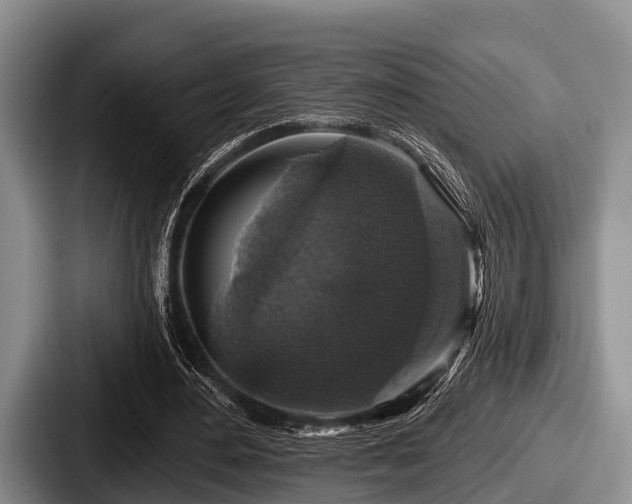 X0000087680484200705111303