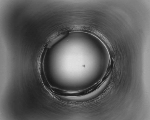 X0000087680485200705111303