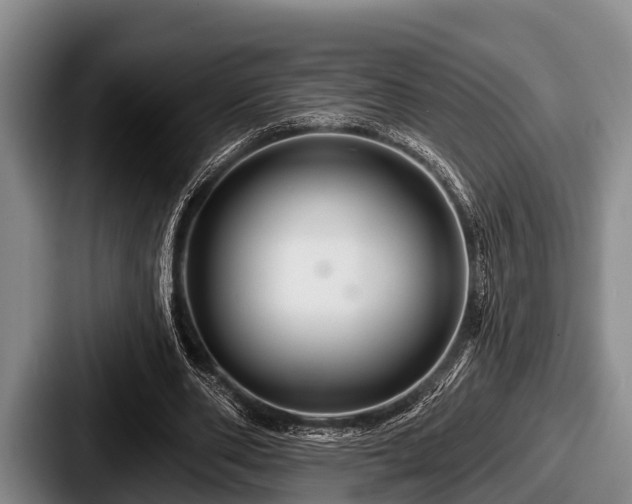 X0000087680486200705111303