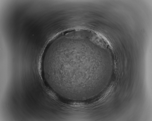 X0000087680487200705111303