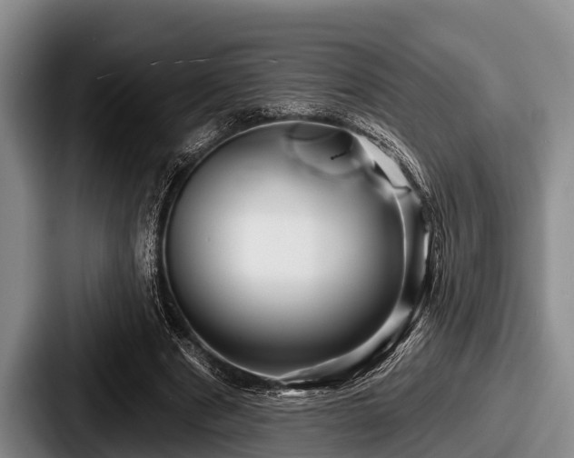 X0000087680489200705111303