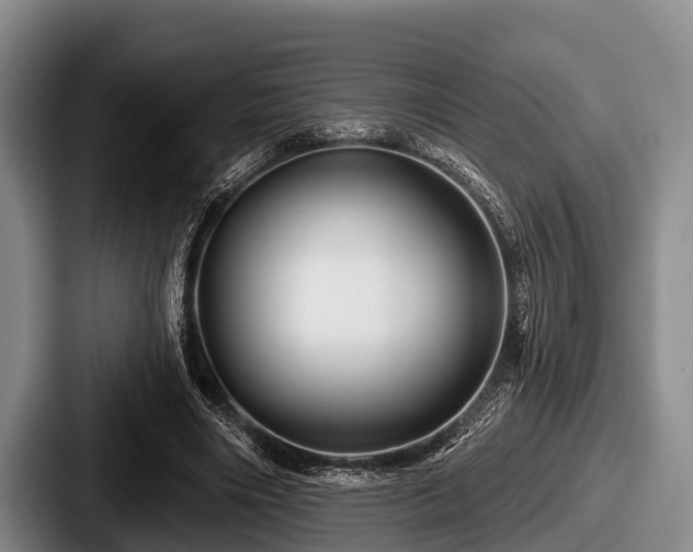 X0000087680490200705111303