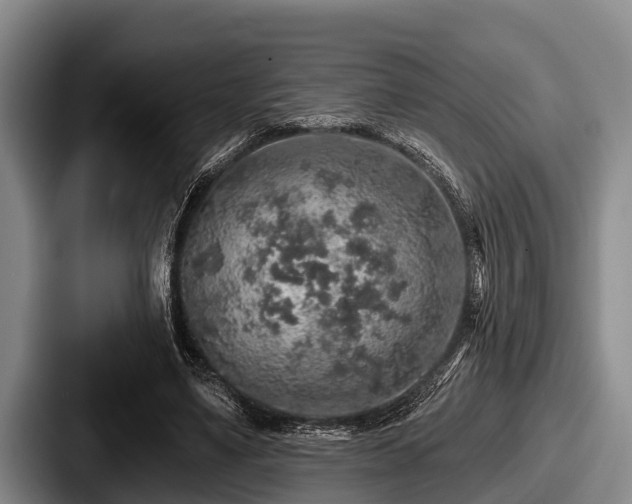 X0000087680491200705111303