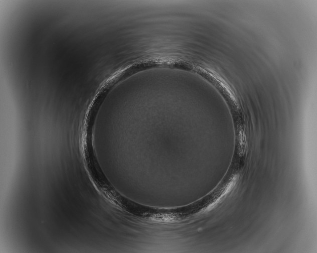 X0000087680492200705111303