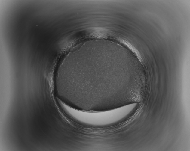 X0000087680493200705111303