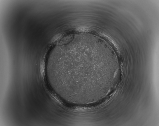 X0000087680494200705111303