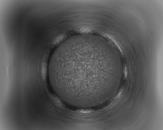 X0000087680495200705111303