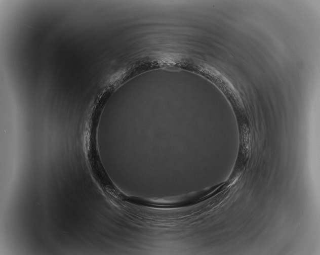 X0000087680496200705111303