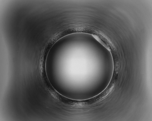 X0000087680497200705111303