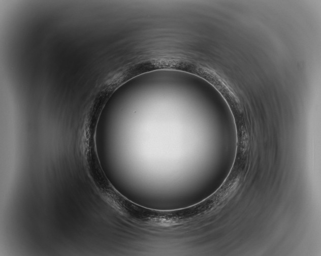 X0000087680498200705111303