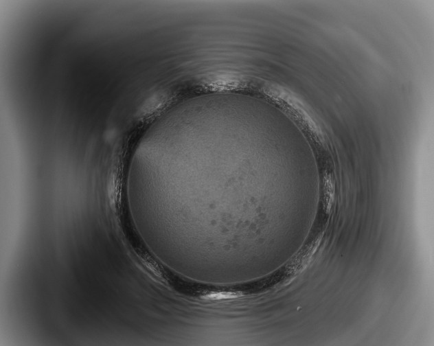 X0000087680499200705111303