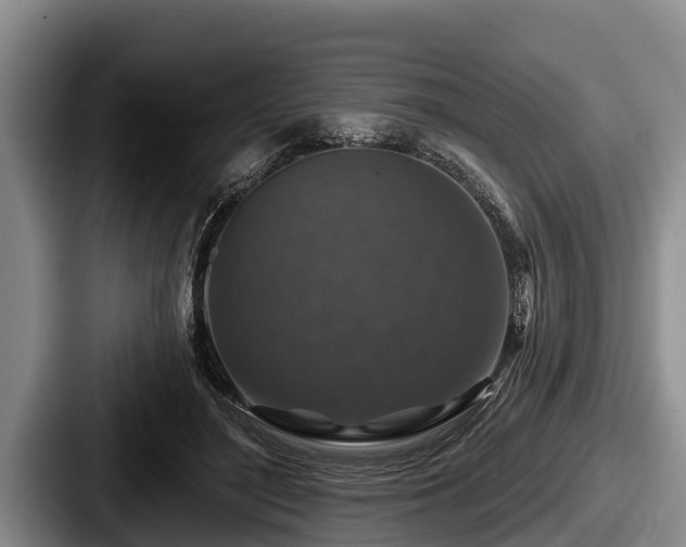 X0000087680500200705111303