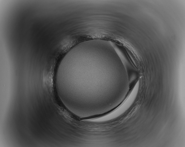 X0000087680501200705111303