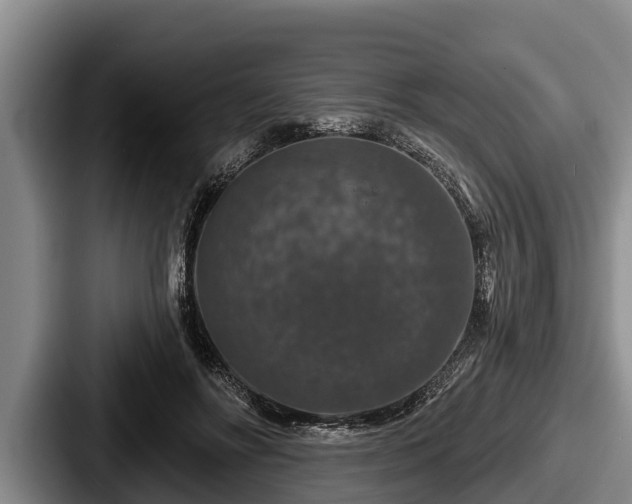 X0000087680502200705111303