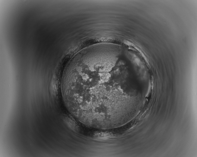 X0000087680503200705111303