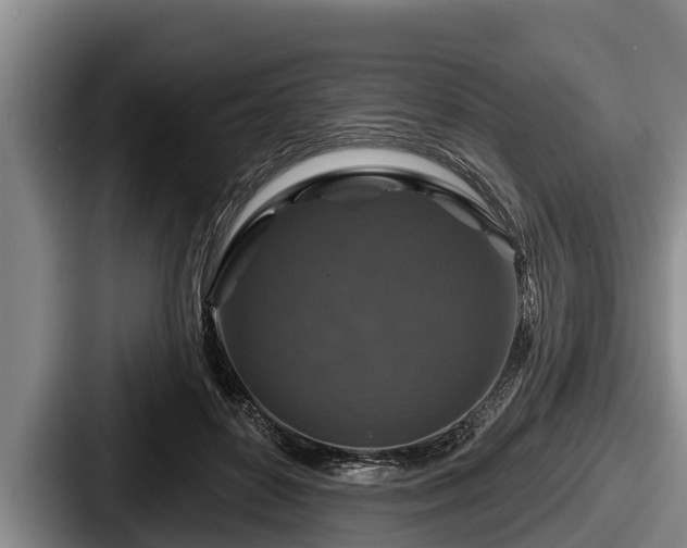 X0000087680504200705111303