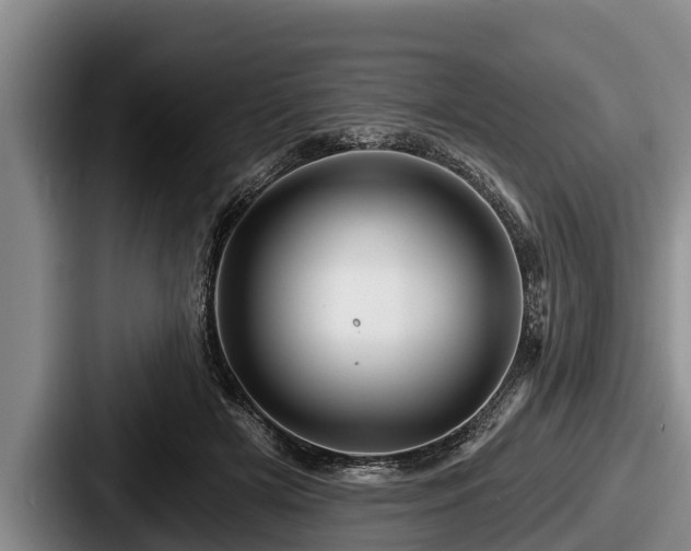 X0000087680505200705111303