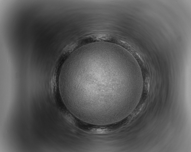 X0000087680506200705111303