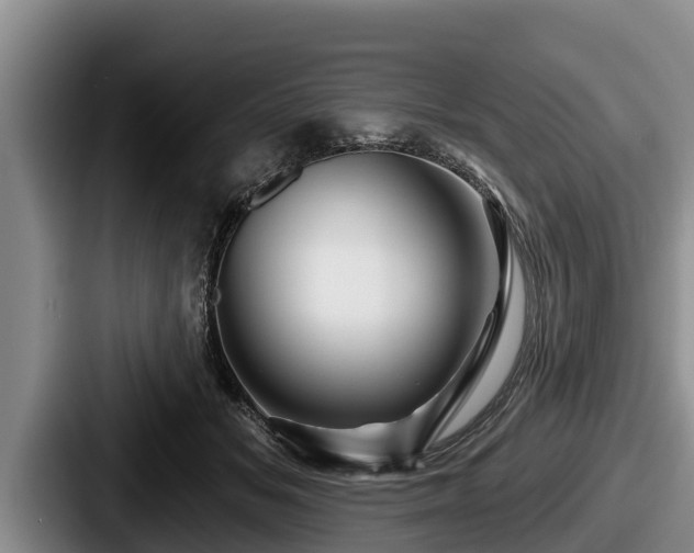 X0000087680509200705111303