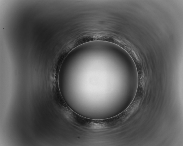 X0000087680510200705111303