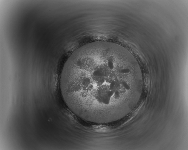 X0000087680511200705111303