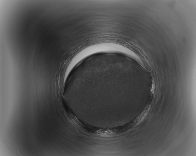 X0000087680512200705111303