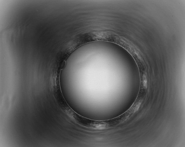 X0000087680514200705111303