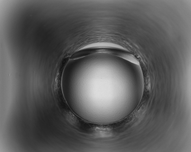 X0000087680515200705111303