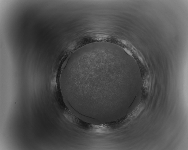 X0000087680516200705111303