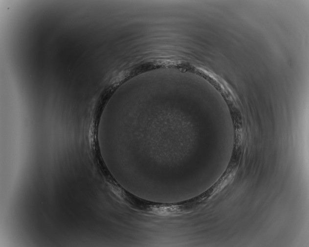 X0000087680517200705111303